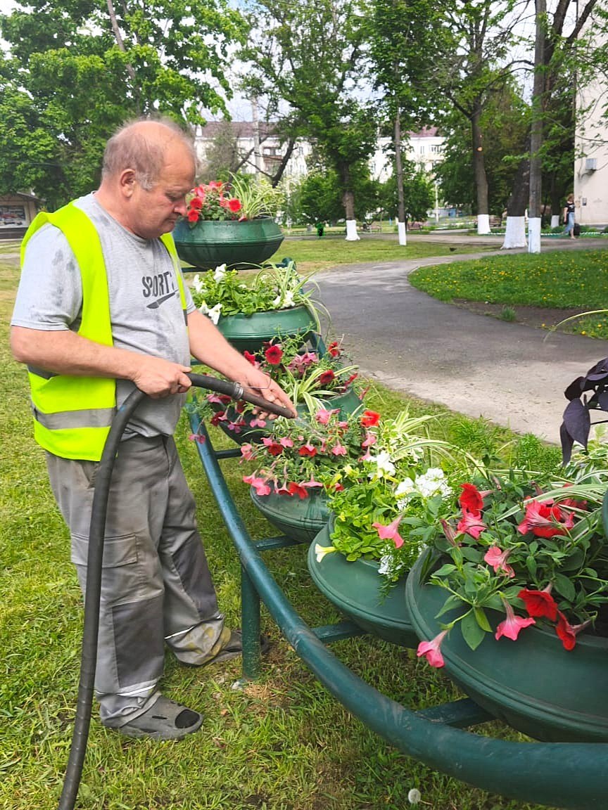 Новини Харкова: у місті висадили 100 тисяч квітів